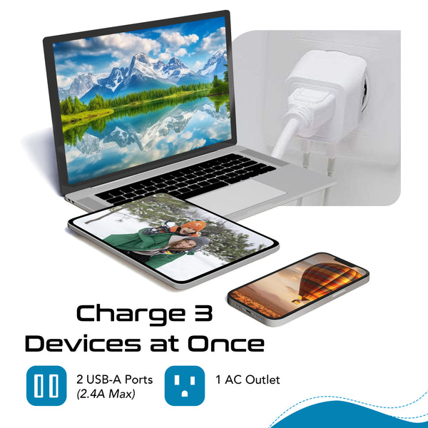Switzerland Travel Adapter - Type J - Dual USB (CTU-11A)